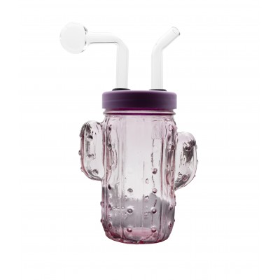 6inch GLASS CACTUS OIL BURNER